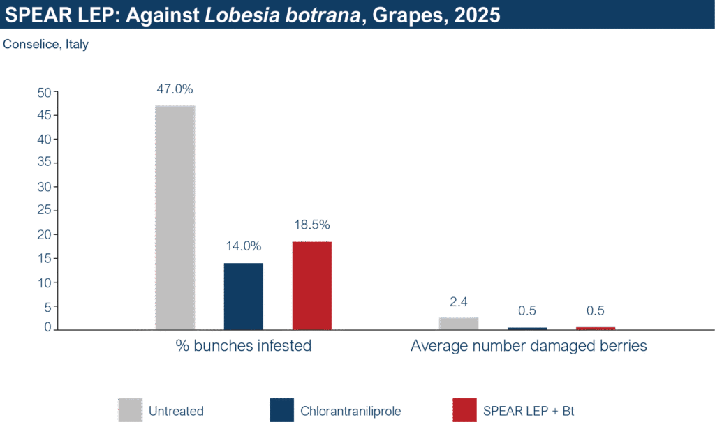 SL Grapes Lobesia Chart (4) data chart